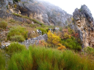 A pied dans les paysages du Verdon